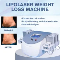 Microdermabrasion Lipolyse Cold Lipo Laser Double Wave Machine 12 PADS 336 Diode Laser Corps Smamis Beauty