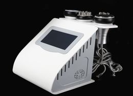 Machine à cavitation ultra Lipo Cavitation Sincoling liposuccial ultrasonique ultrasonique