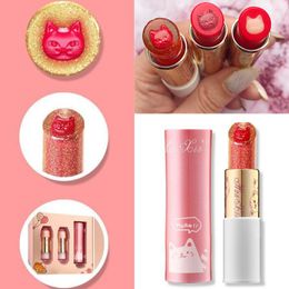 Rouge à lèvres 3pcs / Set Jelly Lipstick Cat Lip Blam Étanche Longue Durée Cristal Hydratant 230703