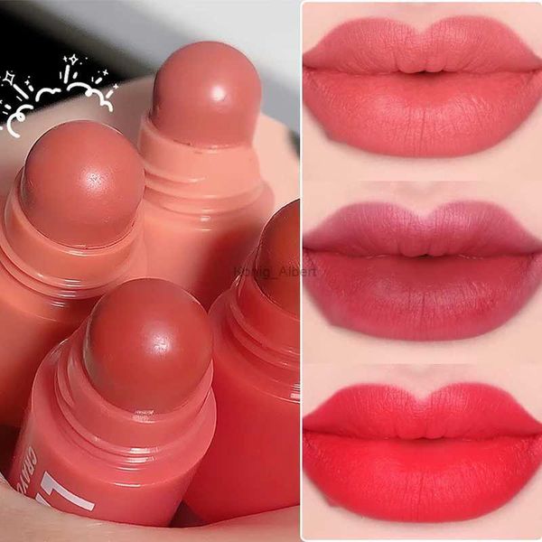 Lápiz labial 4 colores en 1 Kit de lápiz labial Desnudo Rosa Mate Brillo de labios Lápices labiales impermeables de larga duración Lápiz Delineador de labios sexy Lápiz Labios Maquillaje SetL2403