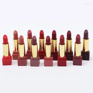 Rouge à lèvres longue durée, couleur chair, mat, Batom, maquillage imperméable, rouge, Sexy, coréen