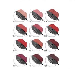 Lipstick Makeup Rouge Matte waterdichte lipstick 12 kleuren gemakkelijk te dragen voedzame groothandel batom luxe lippenstiften drop levering hij dhzwa