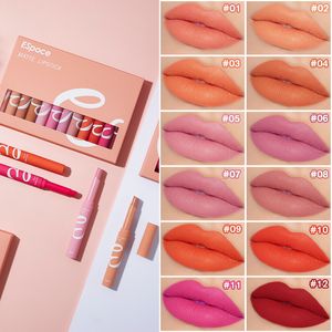 Lipsticks set lip gloss make-up kleur behoud hydraterende niet-fading 12 kleuren fluwelen matte lippenstift kleur make-up lip potlood donkere huid