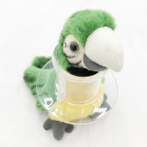 Litter perroquet Collier de tube acrylique pour une plume d'oiseau sévère Plunce de cou restreint le mouvement du cou pour aw atoo gris africain