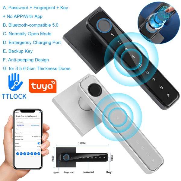 Verrouillage biométrique empreinte digitale smart home verrouillage de la porte verrouillage de porte électronique verrouillage numérique tuya / ttlock / pas de contrôle de contrôle d'application Boutons de porte de porte