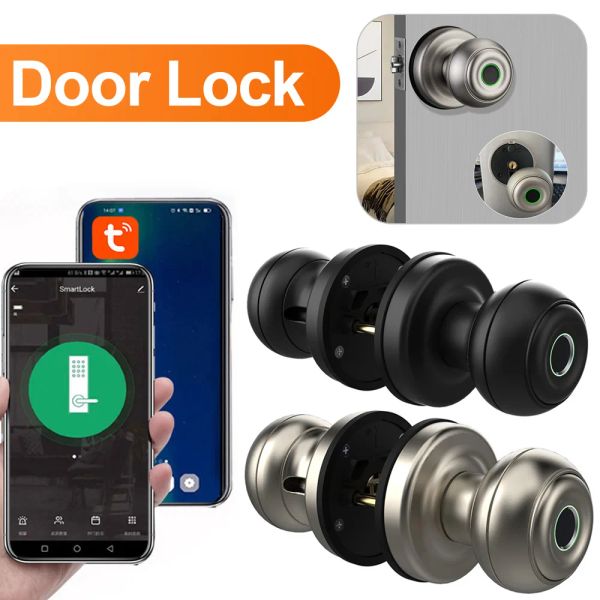 Verrouillage des empreintes digitales Lock pour Tuya Bluetooth compatible Smart Lock Entrée sans clé Biométrique Empreinte digitale Typec et Clé mécanique