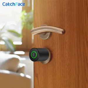 Verrouillage d'empreinte digitale Tuya App Bluetooth Cylinder Lock Euro Thumbin Turn Rechargeable Long Battery Life Electronic Smart Door Lock numérique