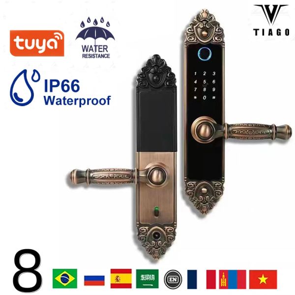 Verrouillage haut de gamme European Style Tuya WiFi Electronic Smart Door Lock / Biométric Empreinte digitale / Mot de passe de la carte à puce Déverrouiller USB Charge