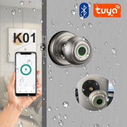 Vergrendeling K01 Waterdichte kogeldeurslot Tuya Bluetooth Wifi Smart Fingerprint Lock Beveiliging Deur Auto -cilinderknop Elektronische vergrendeling