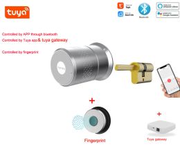 LOCK M520 Eenvoudig installeren Smart WiFi Tuya Lock Keyless voor Euro -cilinderdeur Bluetooth -afstandsbediening bestuurd door mobiele telefoon