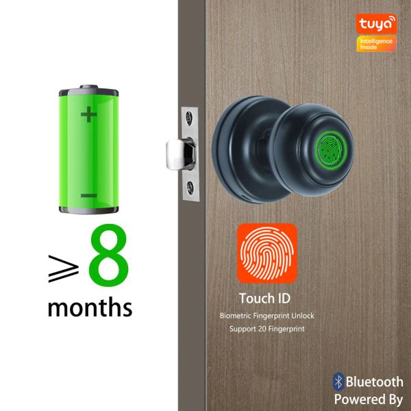 Verrouille Phipulo Tuya Smart Door Lock Biométrique Biométrique Bouton Bouton Keyless Entry App Applic Empreinte Finger Empreinte pour Smart Home