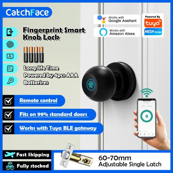 Verrouillage application tuya empreinte clés de la touche de la balle Smart Door verrouillage