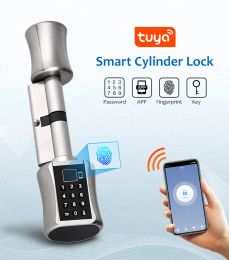 Lock Tuya App Smart Round Round Copper Lock WIF Bluetooth Fingerprint Security Wireless Electronic Numeric Toets -Toetsenraad Keyless Steel Deur Slot