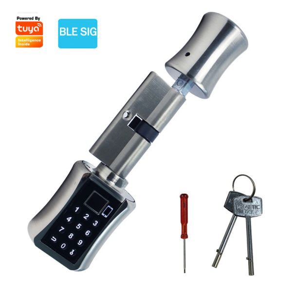 Verrouillage de verrouillage de porte d'empreinte digitale TUYA BLE Electronic Key Key Unlock Unlock Smart Life App Keyless Smart Biometric Door Lock