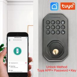 Lock Tuya Smart Door Lock Wifi Elektrische sleutel Lock Smart App Digital Code Electronic Door Lock voor Locker Home Security Mortise