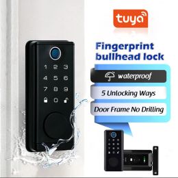 Lock Tuya Smart Lock Outdoor Gate Imperproofer Bluetooth Empreinte Card de verrouillage APP CODE NUMÉRIQUE BIOMÉTRICE ELECTRONIQUE BORD PORTE POUR HOME