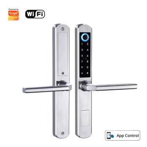 Verrouillage Zemismart Tuya WiFi Electronic Smart Lock Empreinte Porte de garantie Sécronson