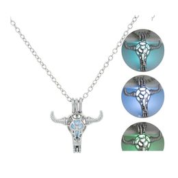 Medallones Moda Luminoso Bl Cabeza Colgante Collares Para Mujeres Resplandor En La Oscuridad Piedra Jaula Cadenas Sier Abiertas Joyería Bk Drop Delivery Pe Ot2Wo