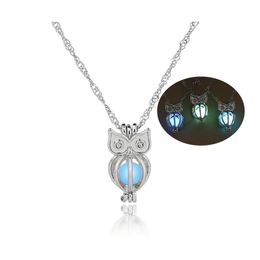 Médaillons Glow In The Dark Owl Collier Creux Perle Cages Pendentif Lumineux Animal Charme Colliers Pour Femmes Dames De Luxe Mode Juif Otttb