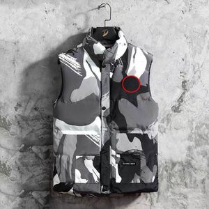 London designer vest trapstar jas Heren Vest freestyle echt veren dons Winter Mode vest wit grijs bruin correcte versie vest jas 19 kleuren opstaande kraag