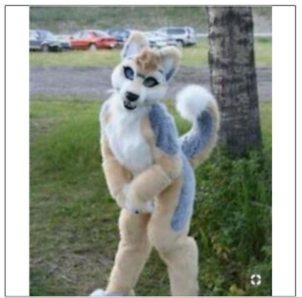 Longue fourrure Husky chien renard Fursuit mascotte Costume déguisement unisexe dreamdesigner2019