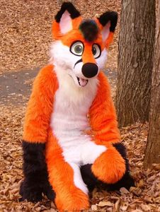 Long Fur Husky Dog Fox Mascot Costume Fursuit Halloween Suit Cartoon Outfits Party Dress