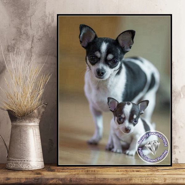 Cabello largo en blanco y negro Chihuahua Dog Diamond Art Pinte Pintura Kits