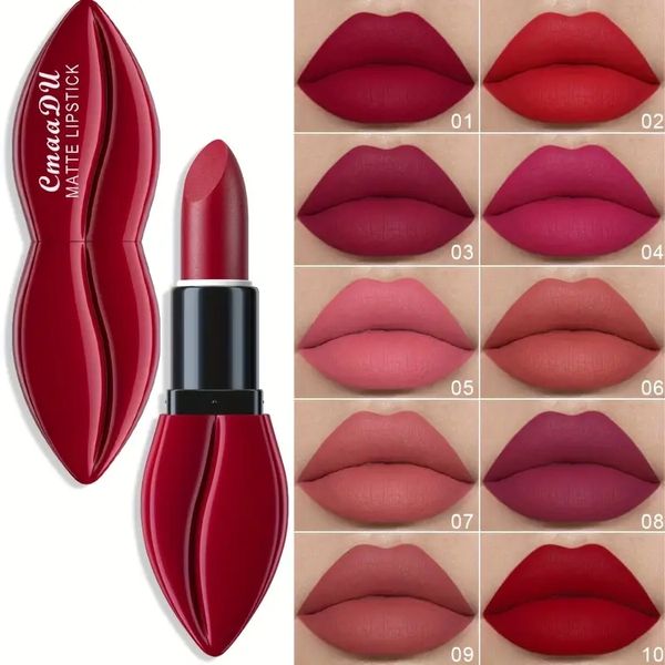 Rouge à lèvres mat sexy imperméable longue durée avec 10 couleurs de velours riches livraison gratuite