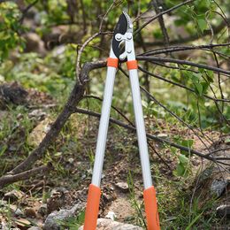 Ciseaux de ciseaux à longue longueur et cisaillement de cisaillement Anti-glip Grip Garden Troping Hand Toolt Coupet Tree Branch Garden Tools 240409