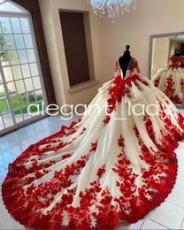 Prinses Quinceanera Jurk met lange mouwen 3D Bloemen Peplum Chaple Trein Corset Sweet 16 vestidos de 15 quinceanera morados Prom