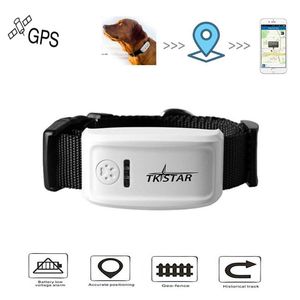 Longue durée de veille TK909 chat chien animaux de compagnie en temps réel GPS Tracker Global GSM GPRS localisateur IOS android App site Web Service184F