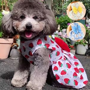Luce adorable este verano: elegantes vestidos para perros pequeños y medianos