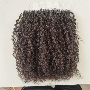 Loop Micro Ring Hair Extensions 100% menselijk maagdelijk haar