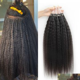 Loop Micro Ring Hair Extensions Kinky Recht 100% Menselijk 16-30 Braziliaanse Grove Link Extension Drop Delivery Producten Dhd9J