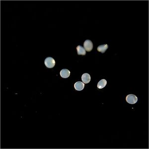 Diamants en vrac 203/5 Résistance aux hautes températures Nano Gemmes Facette ronde 0,8-2,2 mm Calcédoine Lumière bleutée Pierre précieuse synthétique Dhgarden Dh0S4
