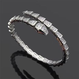 Love Bangle Tennis Designer sieraden dames armband diamant mooie slang zilver 18k rose gouden sieraden koperen plaat bruiloft charme vriendin serpent