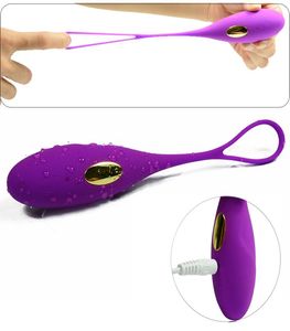 Love Egg Vibrator inalámbrico 10 Vibraciones de velocidad Control remoto Vibrante Huevo G Spot Vibrator Sexo para mujer3026321