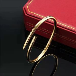 Liefde gouden armbanden nagelarmbanden Designer armbanden voor dames heren roestvrijstalen armband Pulsera Pulseras vergulde gouden sieraden diamanten armbanden