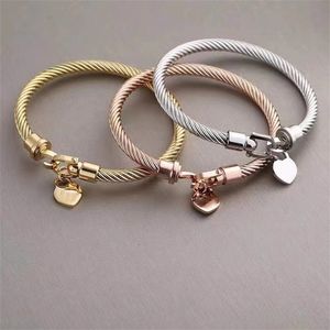 Pulsera de corazón de amor para mujer pulsera de diseñador cable de acero de titanio brazalete de alambre chapado en oro plata oro rosa encanto gancho pulsera de lujo joyería clásica zb112