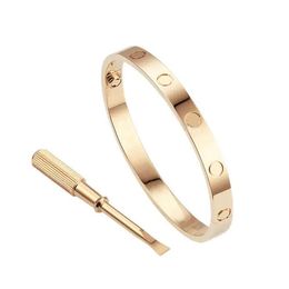 luxe Bangle Tennis armband vrouwen roestvrij staal rose goud paar diamanten mode-sieraden in de hand Valentijnsdag cadeau voor vriendin voorstel bruiloft