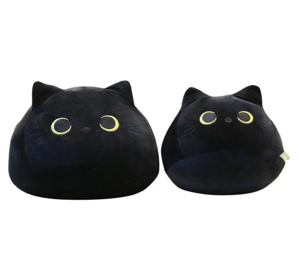 Jouets en peluche d'animaux de dessin animé, jolis oreillers en peluche doux en forme de chat noir, poupée pour filles, cadeaux de saint-valentin, ornement de chambre à coucher 2205311614554