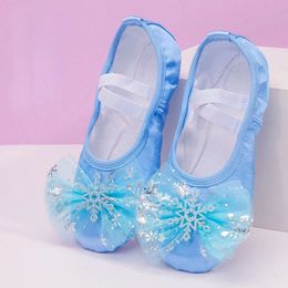 Lovely Princess Dance Soft Soled Ballet Shoe Children Girls Cat Claw Chinese Ballerina Oefeningen schoenen L2405 L2405