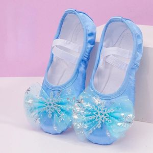 Lovely Princess Dance Soft Soled Ballet Shoe Children Girls Cat Claw Chinese Ballerina Oefeningen schoenen 240507