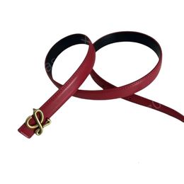 Lowee Belt Designer topkwaliteit klassieke solide kleurenlettergordels voor vrouwen luxe mode riem vintage naald buckle 18 kleuren maat 100-110 cm