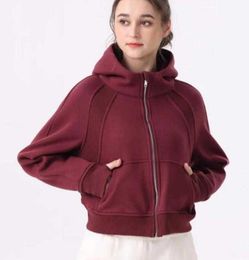 LU-67 Sweats à capuche de plongée avec fermeture éclair complète pour loisirs en plein air, vêtements de gymnastique, hauts pour femmes, entraînement, Fitness, amples et épais, vestes de Yoga, exercice, course à pied