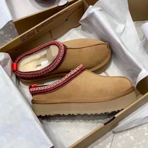 Equipaje Australia Botas Tasman Botines al aire libre Mujer Zapato Viaje WGG Tazz Piel de oveja y lana Diseñador Confort Otoño Invierno Bota de piel Plataforma Bota de nieve Zapatilla