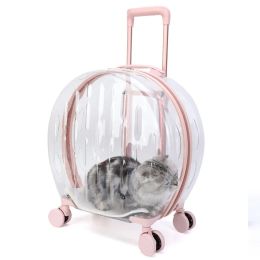Bagage animal de compagnie Varigne universelle transparent transparent transparent sur un sac de chat à grande capacité imperméable chariot de chien respirant bagages portables