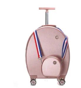 Bagage Spinner Suitcase Femmes Travel Suitcas Suitcase Setcas Trolley Buggage Rolling Suitcase For Girls Luggage Wheels Travel Trolley Sac