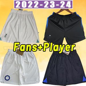 LUKAKU soccer shorts 23 24 Inter BARELLA VIDAL LAUTARO ERIKSEN ALEXIS DZEKO CORREA UNIFORMS football pants 2023 2024 Milan men home away third fans player