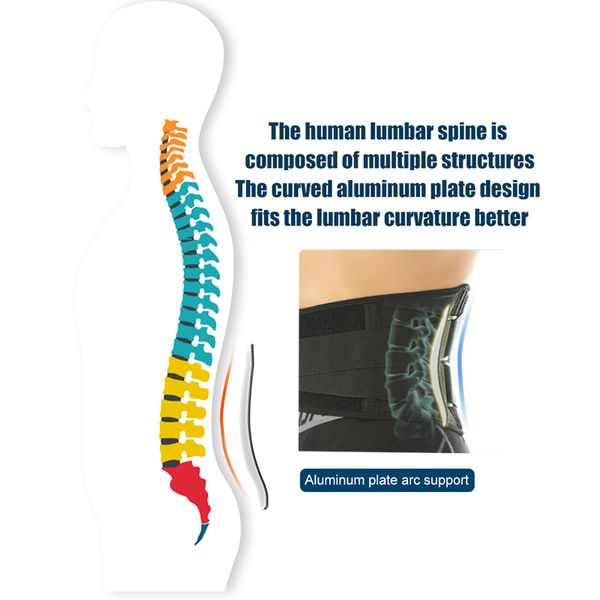 CEINTROLE SUPPORT LUMBAR STRONG BASE BASE BRACE Soutien du corset orthopédique Posture Posture Faja Lumbar Hombre Traineur